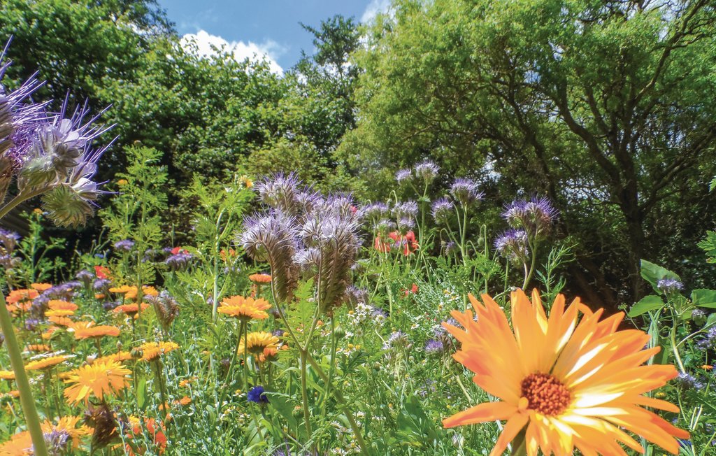 Ferienhaus - Ieper , Belgien - BVA321 5