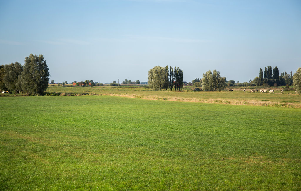 Ferienhaus - Diksmuide , Belgien - BVA176 32