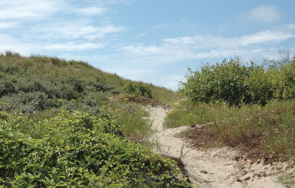Ferienwohnung - Koksijde/Oostduinkerke , Belgien - BVA163 11