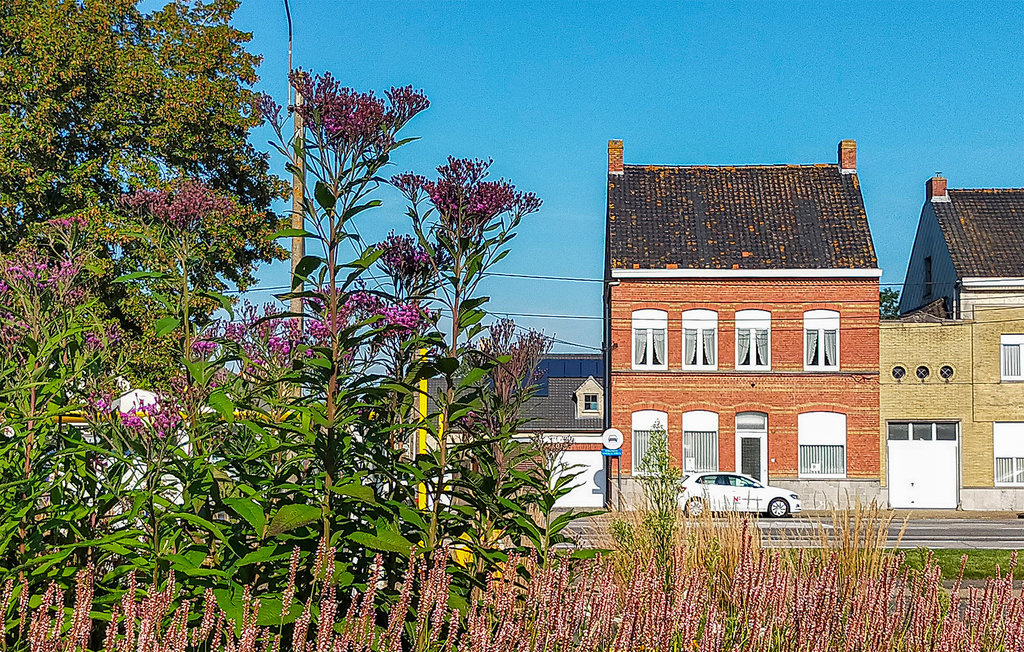 Ferienhaus - Oostvleteren , Belgien - BVA175 1
