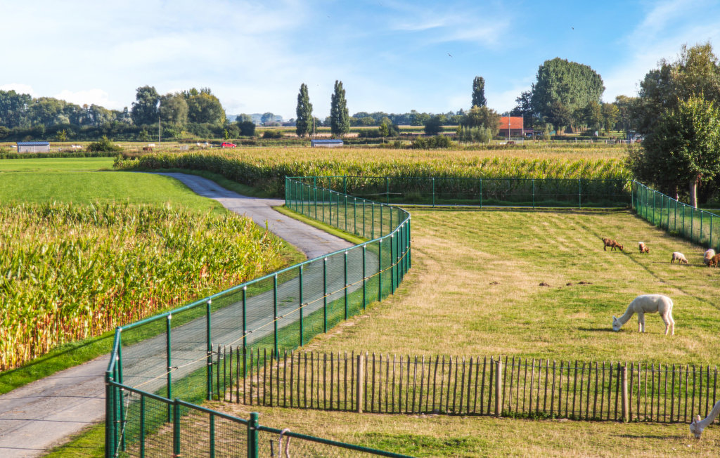 Feriehus - Diksmuide , Belgia - BVA177 20