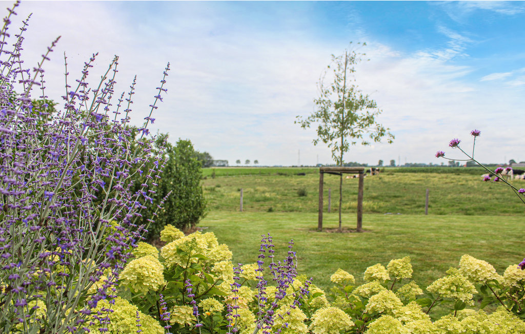 Semesterhus - Diksmuide , Belgien - BVA170 14