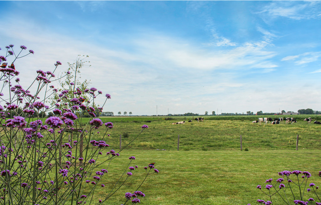 Semesterhus - Diksmuide , Belgien - BVA170 15