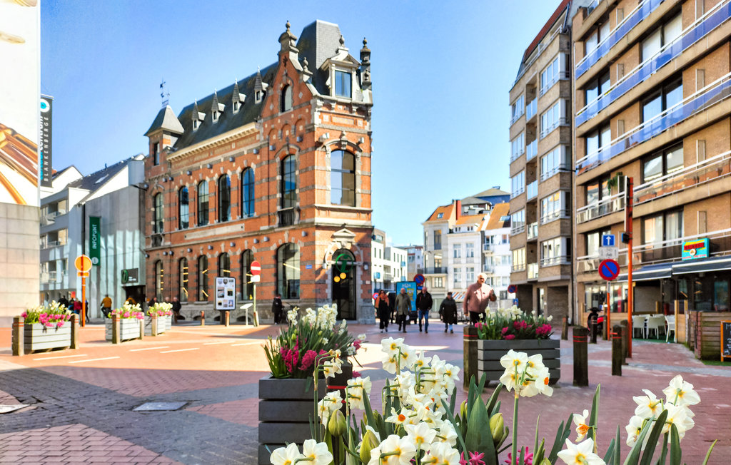 Ferieleilighet - Blankenberge , Belgia - BVA373 6