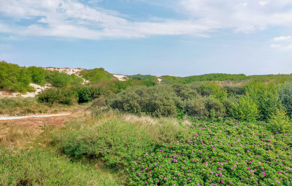 Lejlighed - Bredene , Belgien - BVA375 16