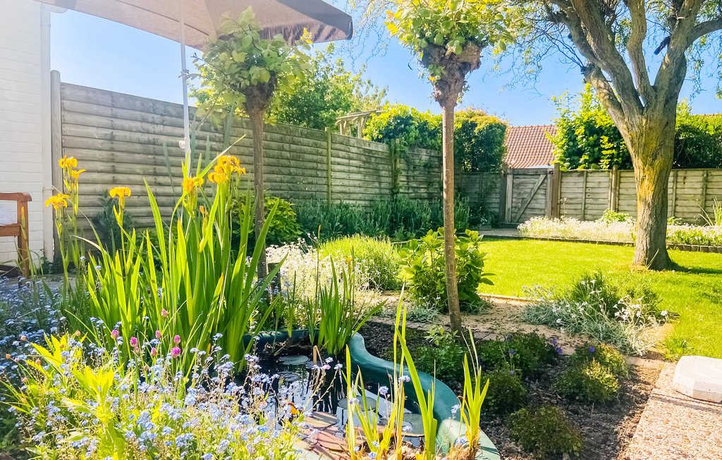 Semesterhus - Bredene , Belgien - BVA359 7