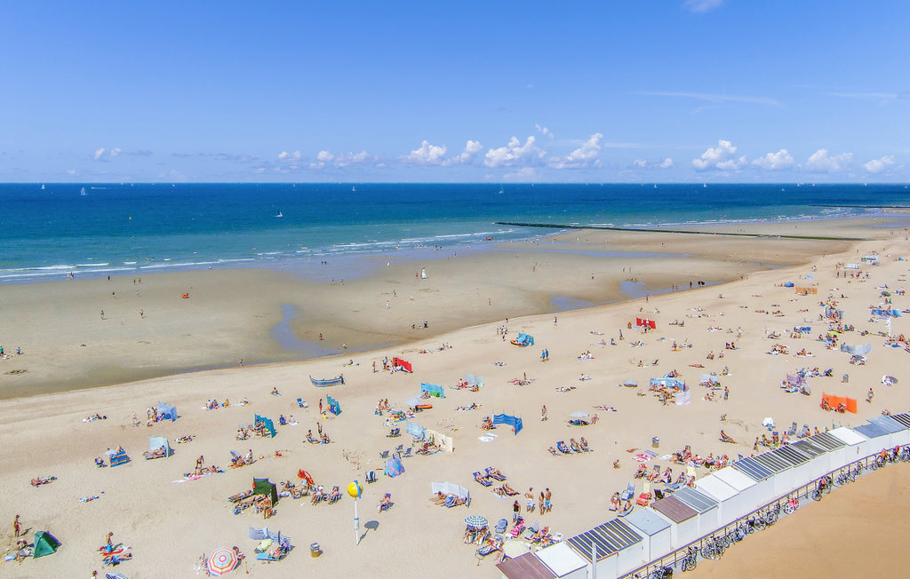 Ferieleilighet - Oostende , Belgia - BVA435 2