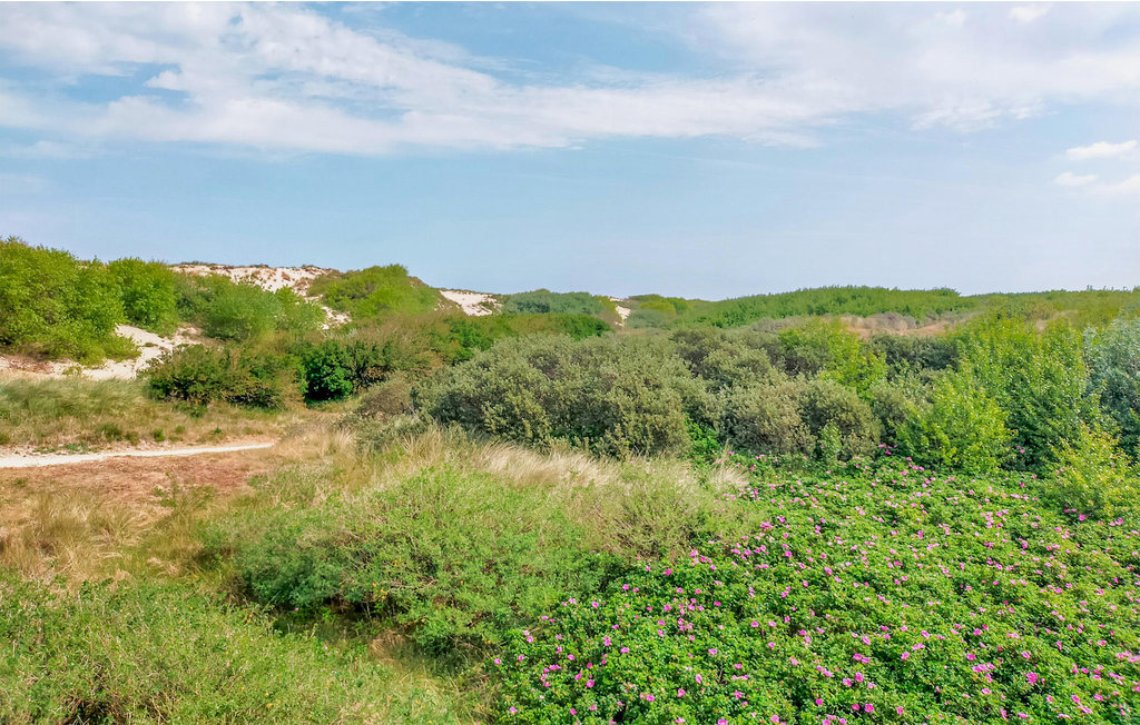 Ferienwohnung - Bredene , Belgien - BVA388 16