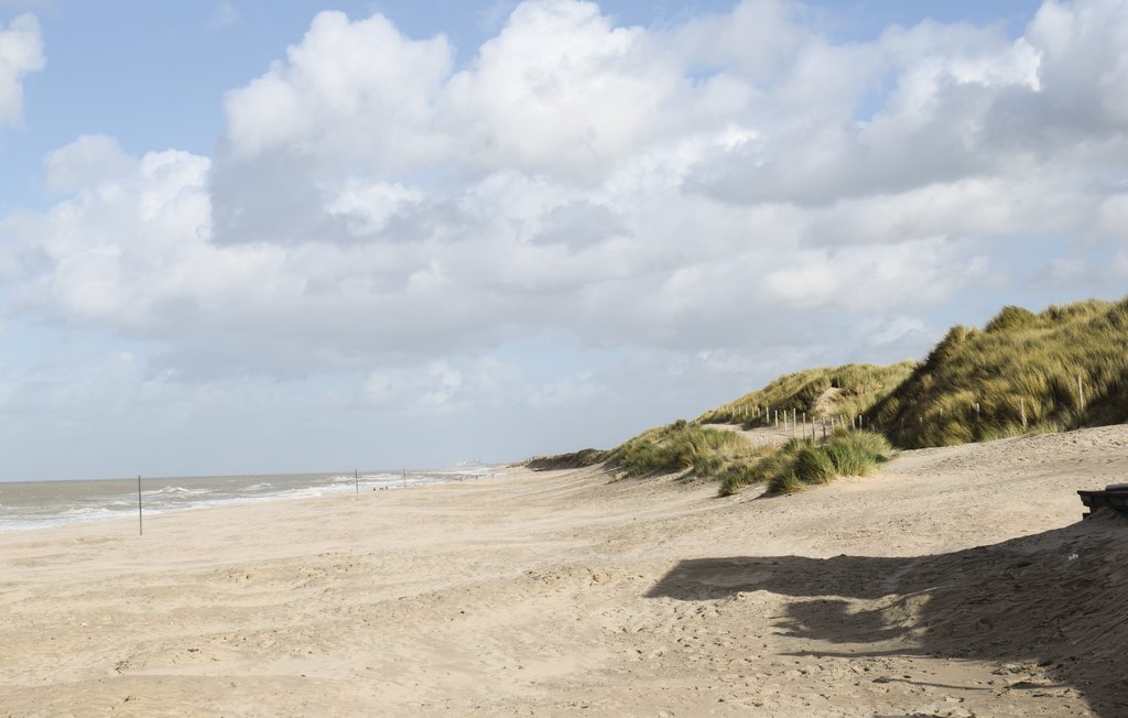 Feriehus - Adinkerke , Belgia - BVA320 17