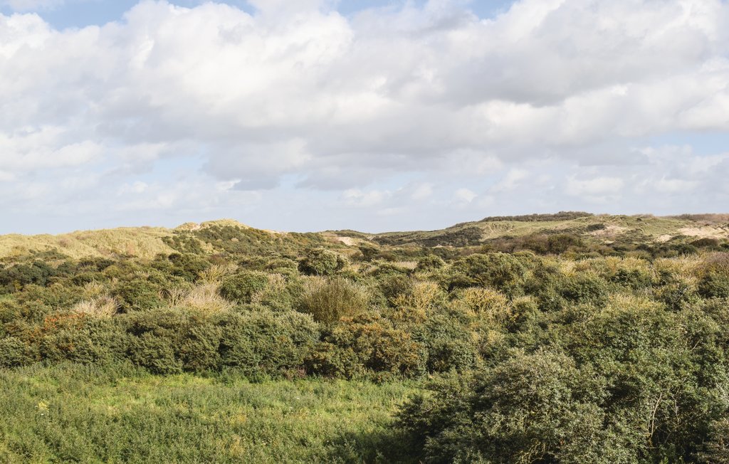 Feriehus - Adinkerke , Belgia - BVA320 20