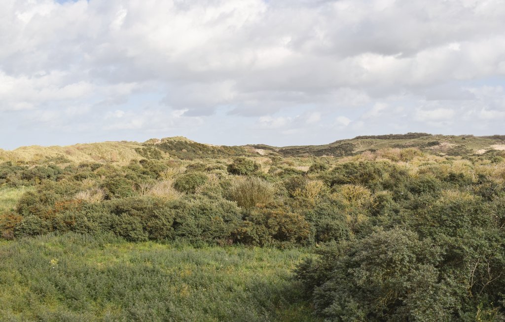 Feriehuse - Bredene , Belgien - BVA250 26
