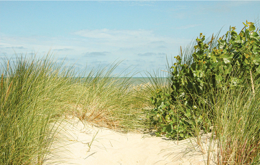 Ferieleilighet - Koksijde , Belgia - BVA391 19