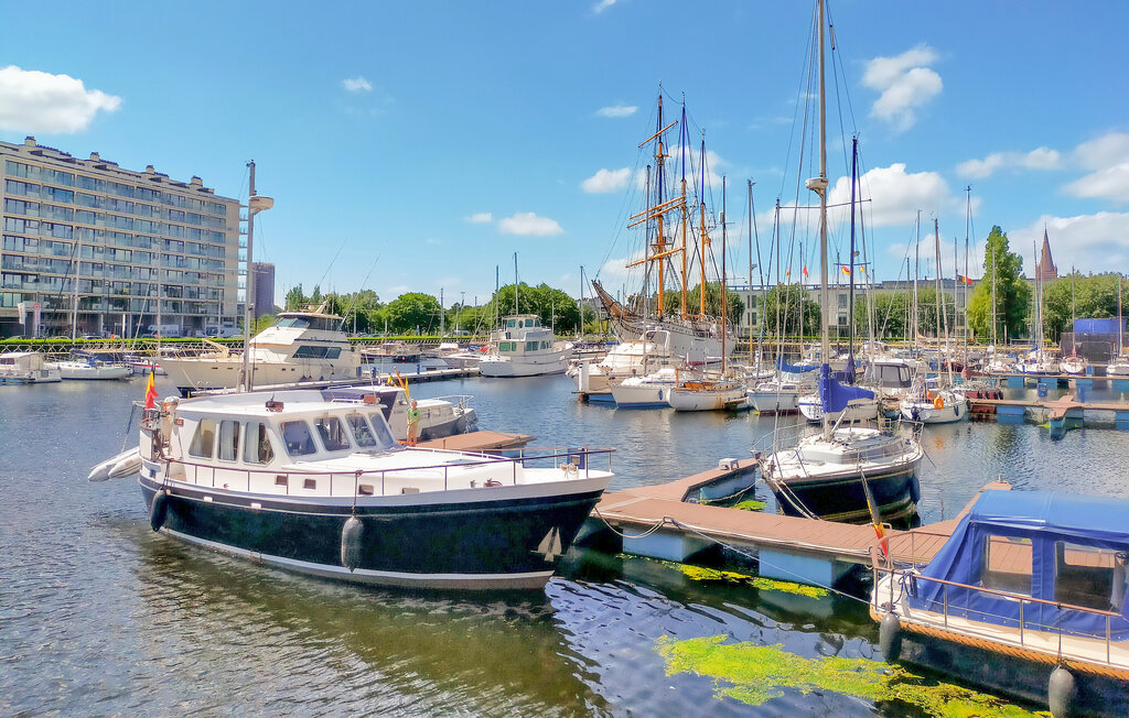 Ferienwohnung - Oostende , Belgien - BVA441 8