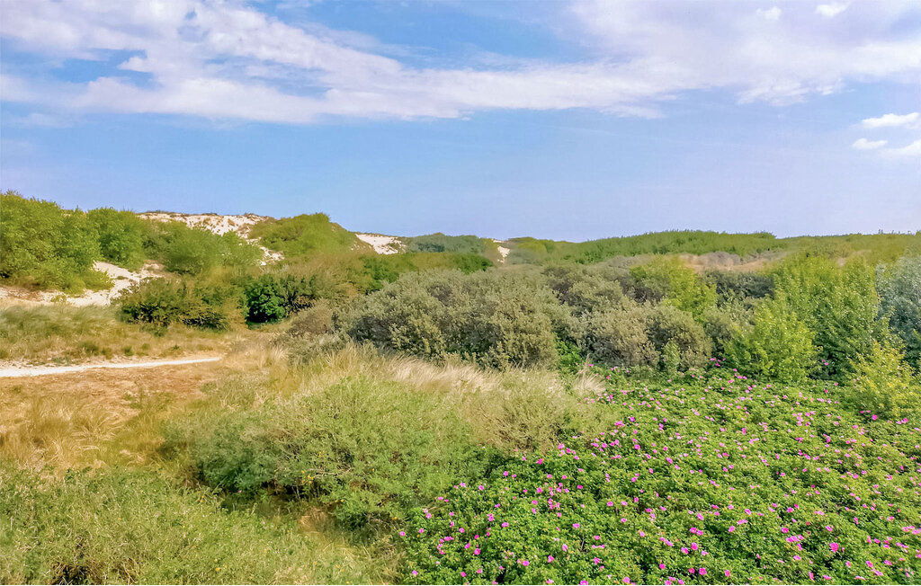 Semesterlägenhet - Bredene , Belgien - BVA399 16