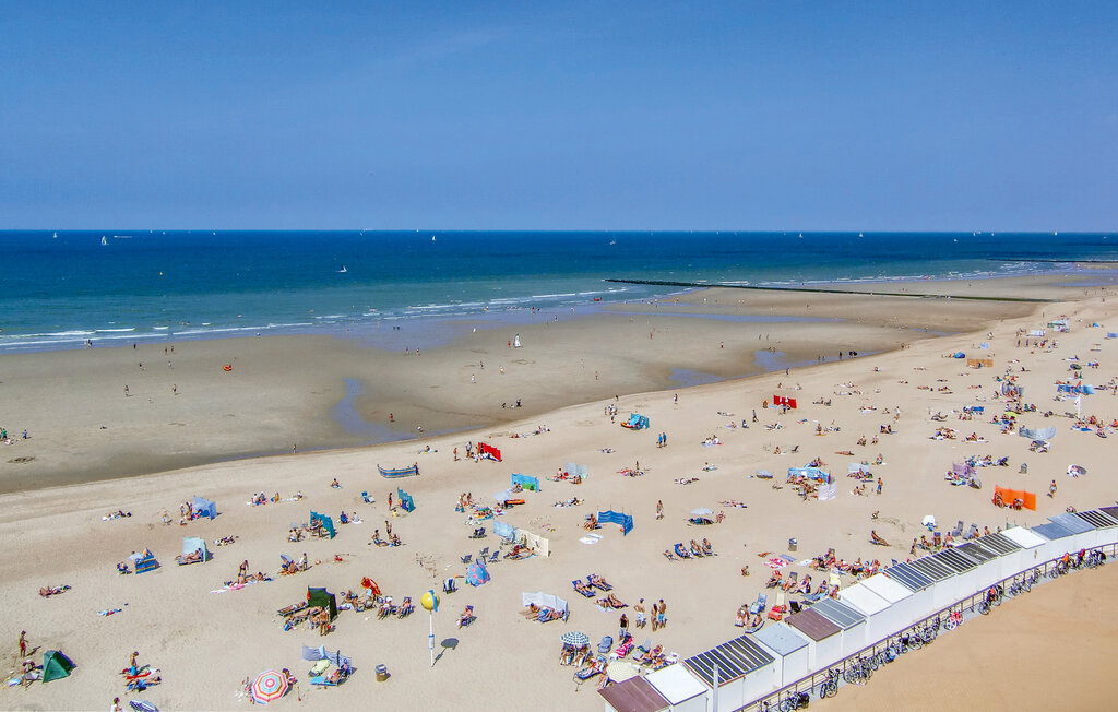 Ferienwohnung - Oostende , Belgien - BVA444 5