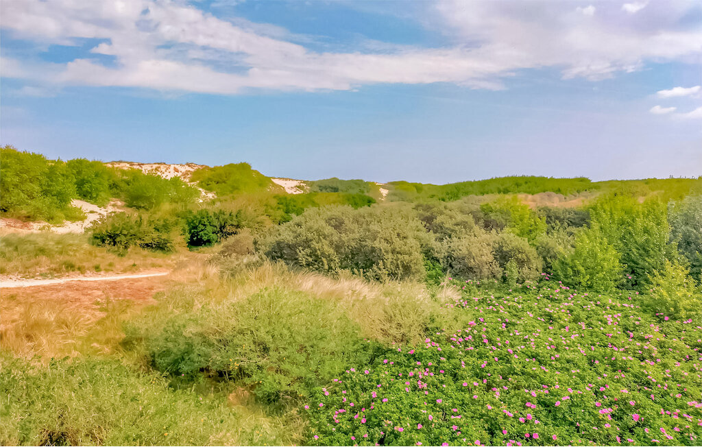Ferienhaus - Bredene , Belgien - BVA502 17
