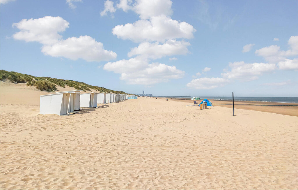 Ferieleilighet - Bredene , Belgia - BVA516 19