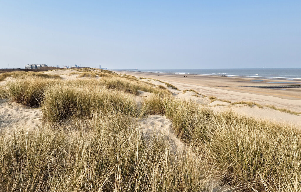 Ferieleilighet - Bredene , Belgia - BVA516 2