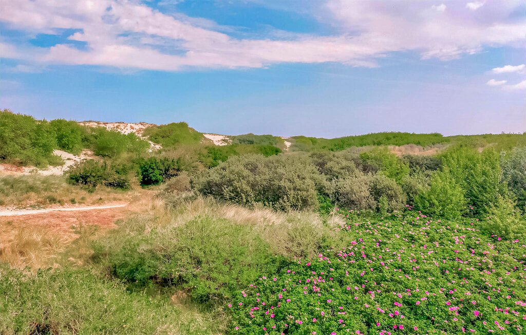 Location de vacances - Bredene , Belgique - BVA189 14