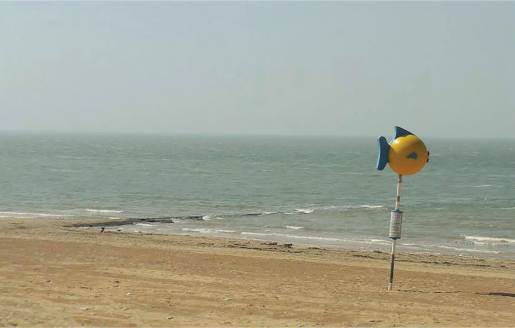 Bild 14 Bild 14
