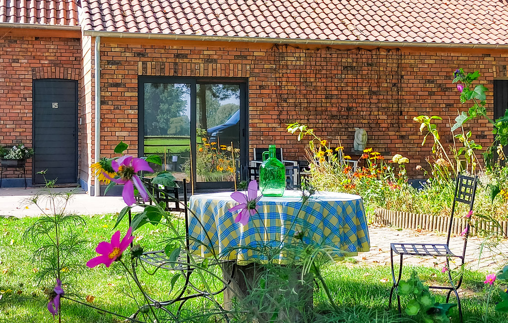 Ferienhaus - Knesselare , Belgien - BVO018 7