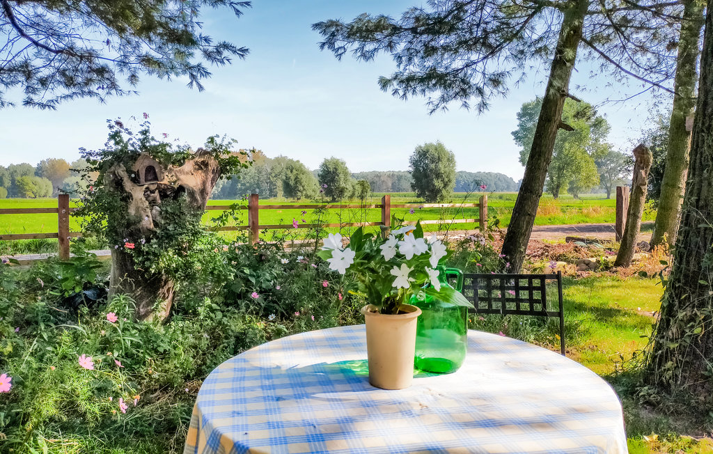 Ferienhaus - Knesselare , Belgien - BVO018 8