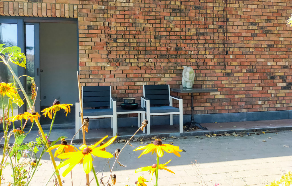 Ferienhaus - Knesselare , Belgien - BVO018 10