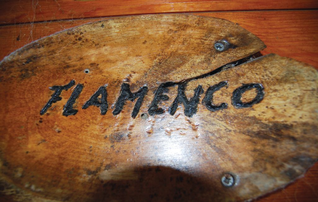 Feriehuse - Wachtebeke , Belgien - BVO005 13