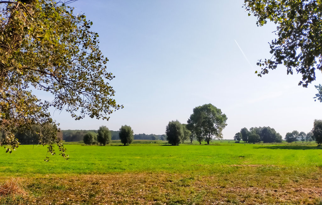 Ferienhaus - Knesselare , Belgien - BVO018 9