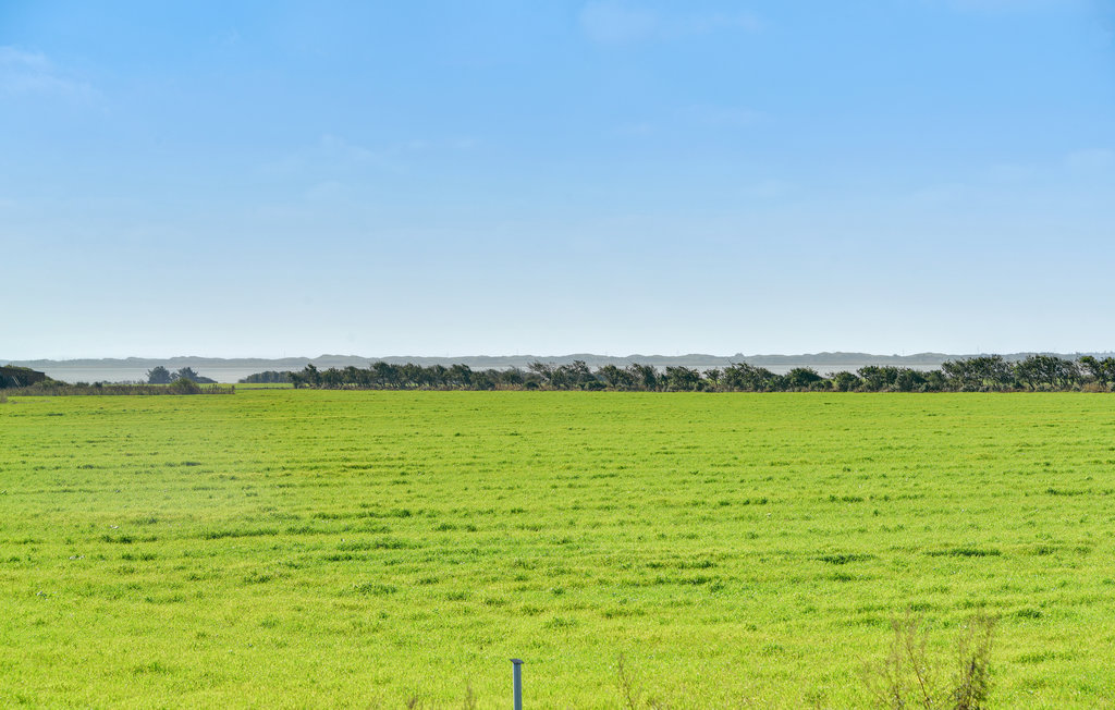 Ferieleilighet - Søndervig , Danmark - C01158 7