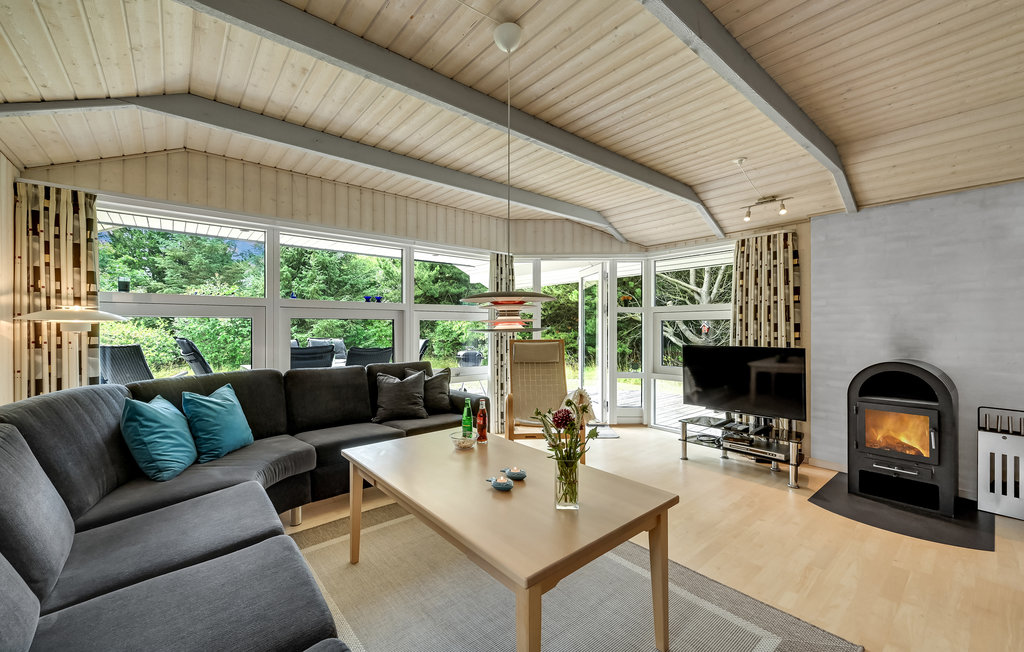 Feriehus - Søndervig/Lodbjerg Hede , Danmark - C01378 3