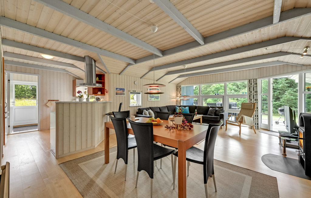 Feriehus - Søndervig/Lodbjerg Hede , Danmark - C01378 6