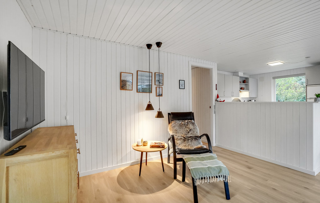 Feriehuse - Søndervig /Lodbjerg Hede , Danmark - C01380 6