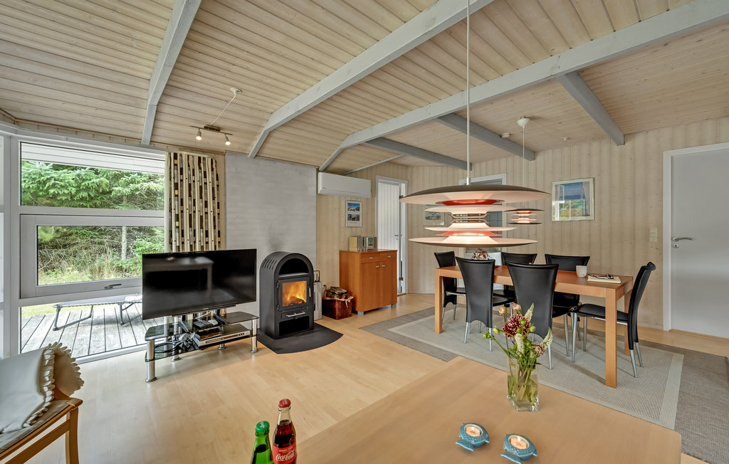 Feriehus - Søndervig/Lodbjerg Hede , Danmark - C01378 5