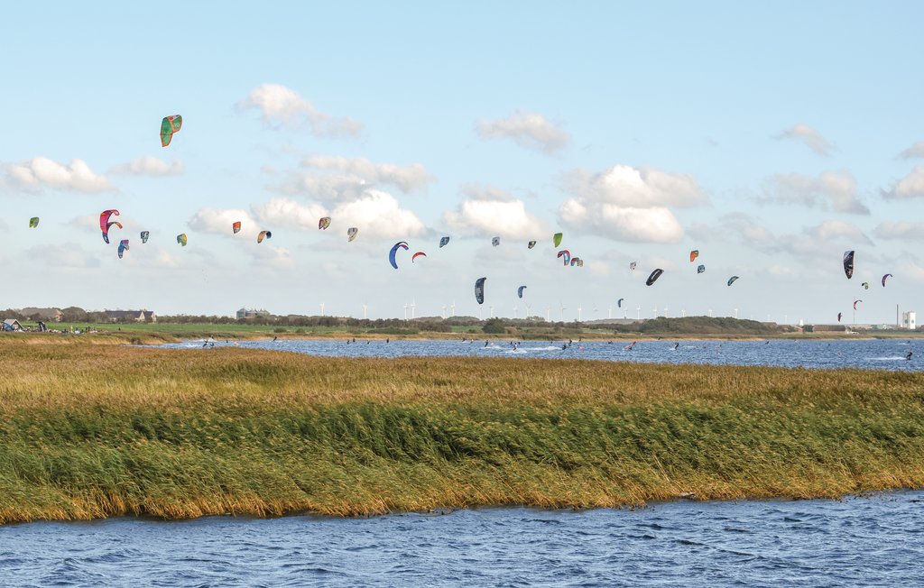 Semesterhus - Søndervig/Lodbjerg Hede , Danmark - C01326 43