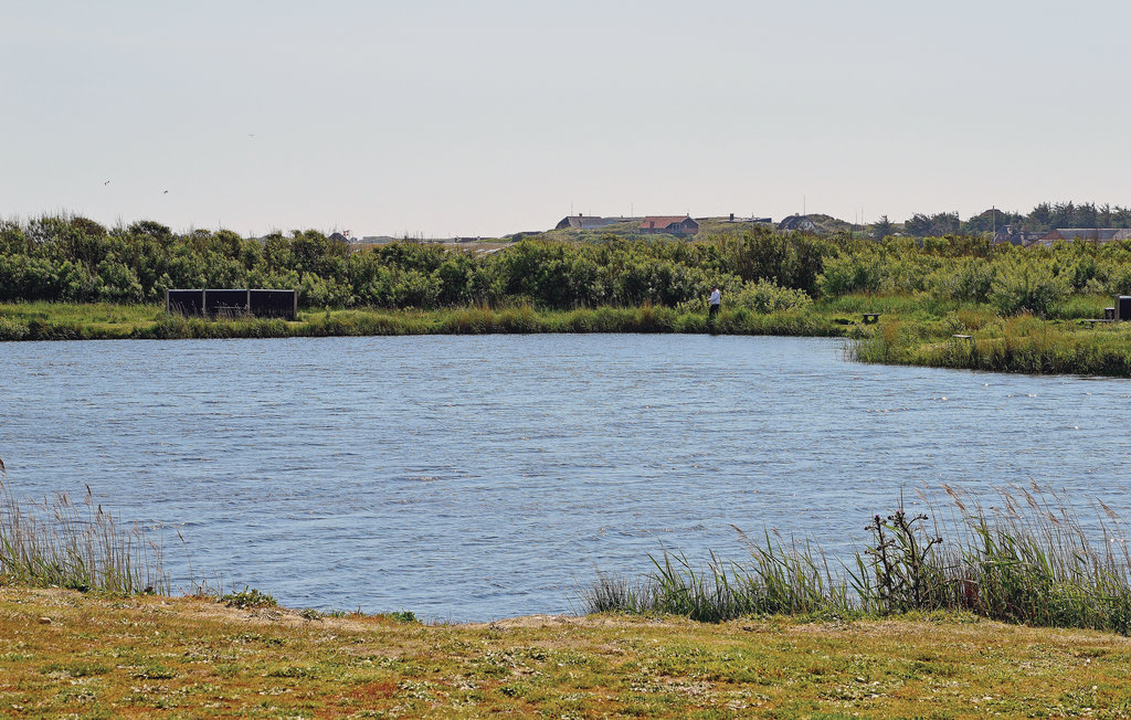Feriehus - Søndervig/Lodbjerg Hede , Danmark - C01014 20