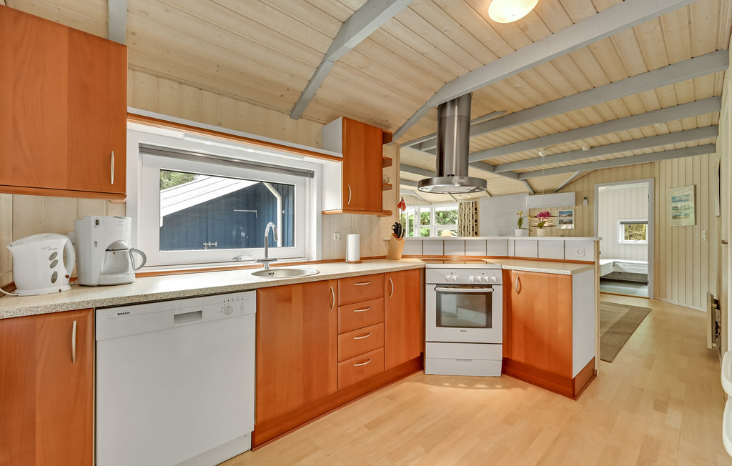 Feriehus - Søndervig/Lodbjerg Hede , Danmark - C01378 7