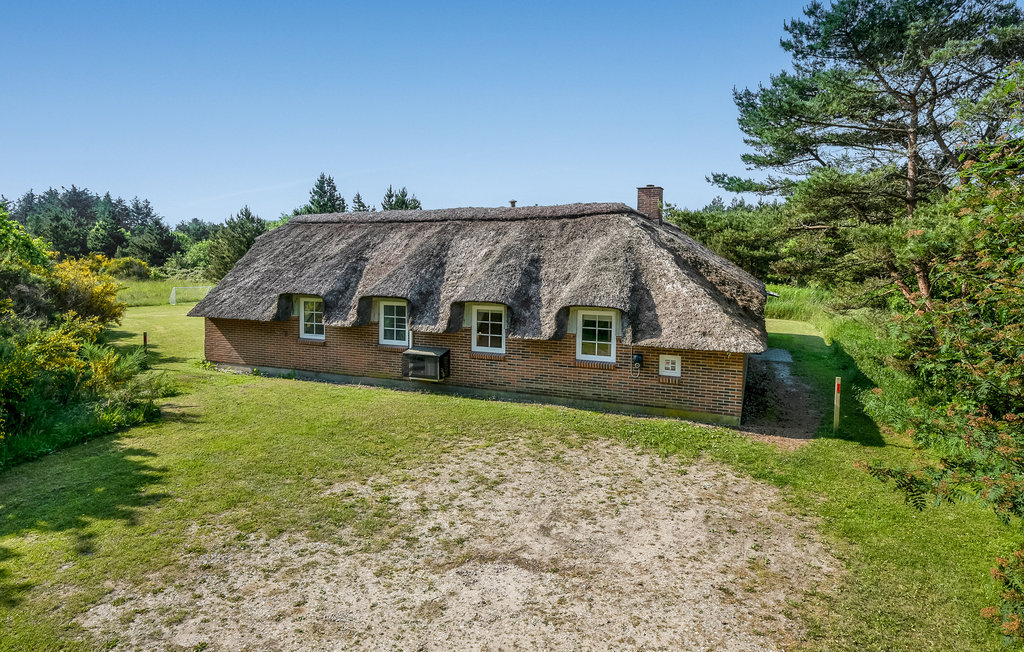 Semesterhus - Søndervig/Lodbjerg Hede , Danmark - C01326 12