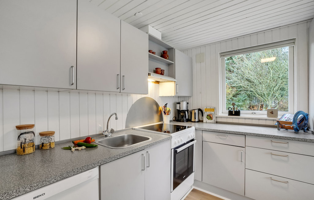 Feriehuse - Søndervig /Lodbjerg Hede , Danmark - C01380 8