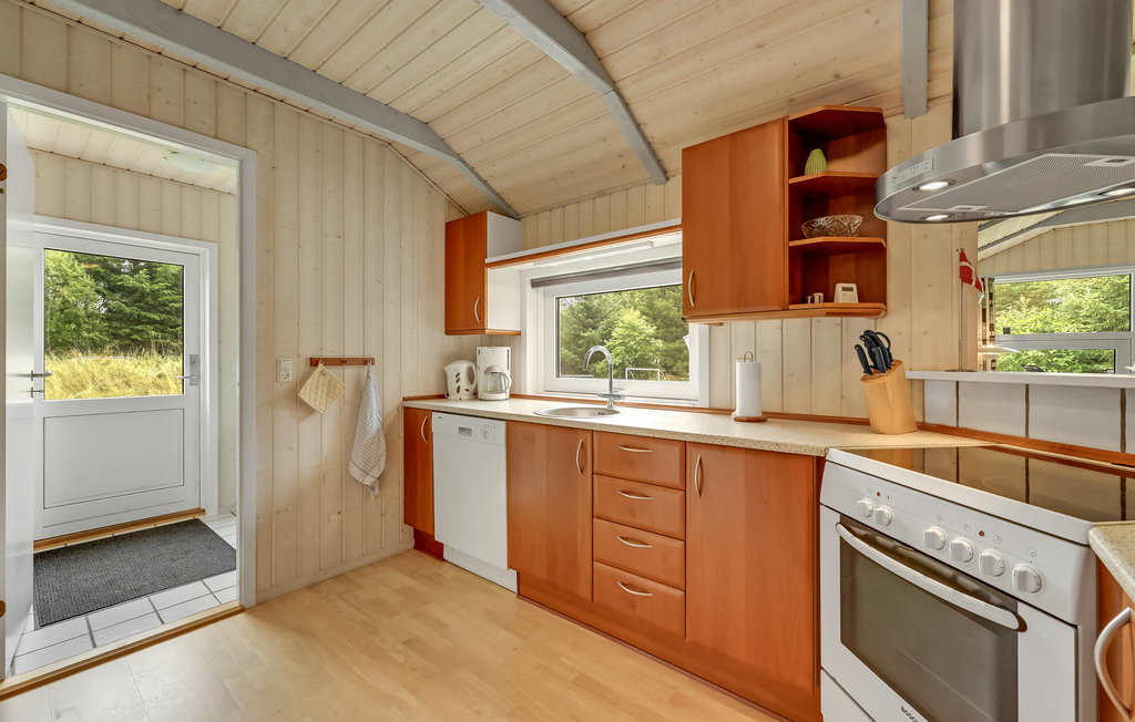 Feriehus - Søndervig/Lodbjerg Hede , Danmark - C01378 17