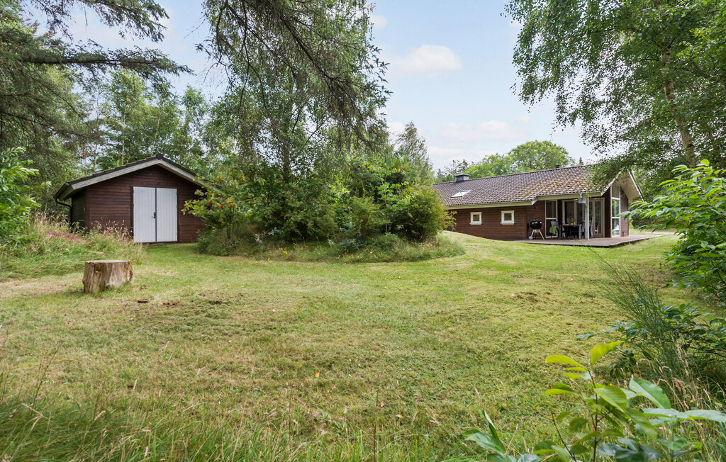 Ferienhaeuser - Søndervig / Lodbjerg Hede , Dänemark - C01582 1