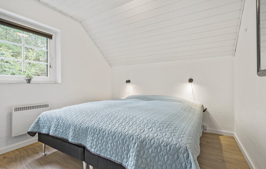 Domy wakacyjne - Søndervig/Lodbjerg Hede , Dania - C01588 19