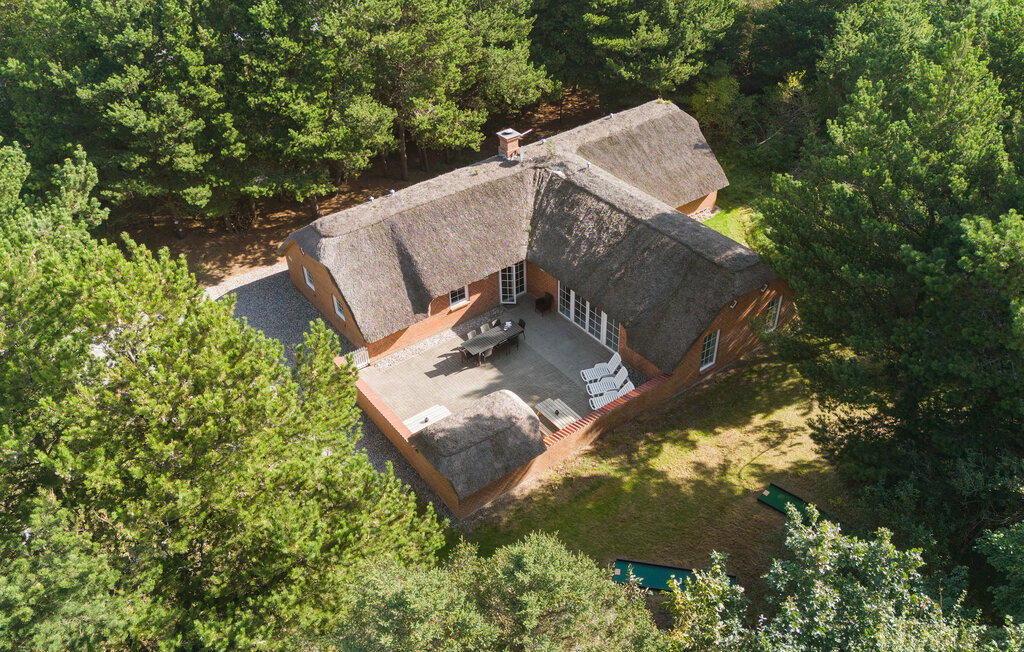 Domy wakacyjne - Søndervig/Lodbjerg Hede , Dania - C01588 1