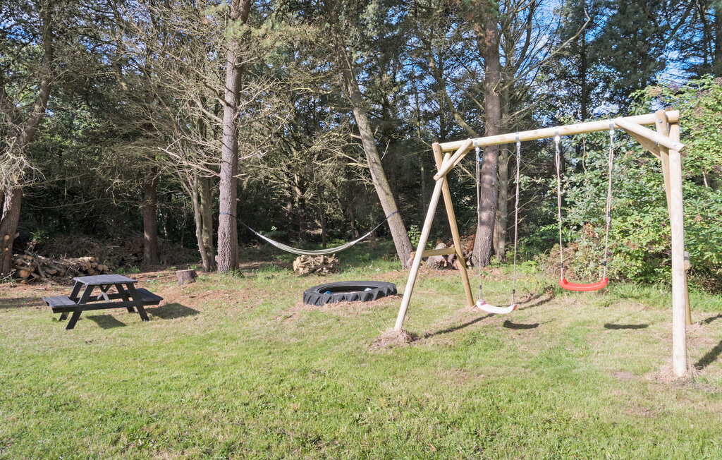 Domy wakacyjne - Søndervig/Lodbjerg Hede , Dania - C01588 14