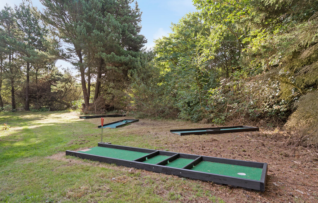 Domy wakacyjne - Søndervig/Lodbjerg Hede , Dania - C01588 15