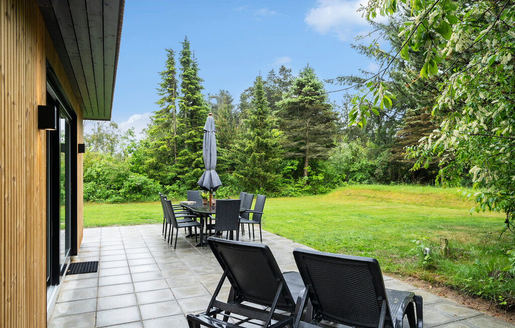 Ferienhaus - Søndervig/Lodbjerg Hede , Dänemark - C01061 2