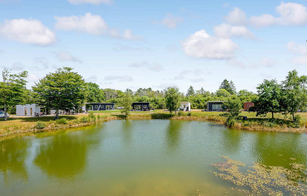 Feriehuse - Hee , Danmark - C02681 24