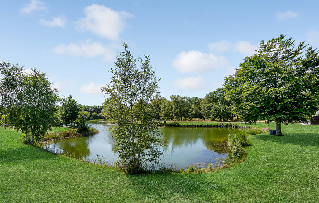 Feriehuse - Hee , Danmark - C02681 25