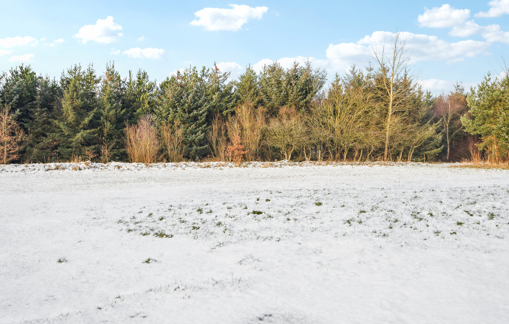 
Holiday rental - Ringkøbing , Denmark - C02532 8