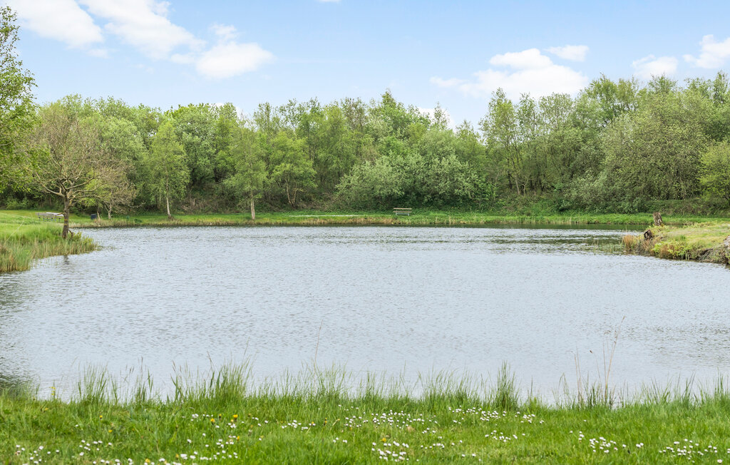 Domy wakacyjne - Hee , Dania - C02559 8